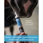 Equality Equistro Energy Booster Paste – suplement energetyczny dla koni i kuców, 20 g: ceny i cechy