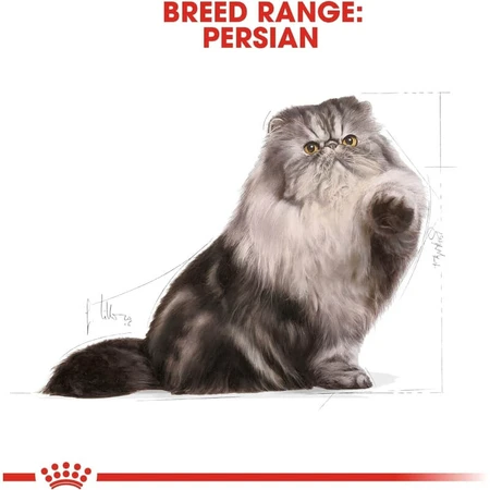 Royal Canin Persian Cat - Complete Dry Food for Persian Cats, 10 kg