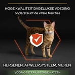 Purina Pro Plan Vital Functions cu somon – hrană completă pentru pisici adulte sterilizate, 10 kg