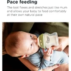 Tommee Tippee Closer to Nature - Biberón de polipropileno de flujo lento para a partir de 0 meses, 250 ml