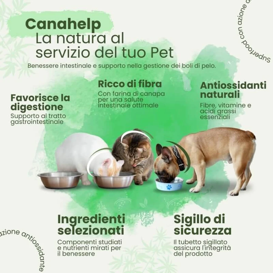 Camon Canahelp Paste – ein Nahrungsergänzungsmittel für Hunde und Katzen, Malzpaste mit Hanf, 100 g