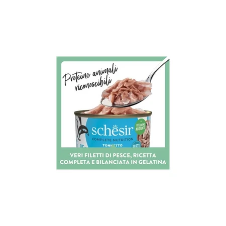 Schesir Tonijn met zeebaars - Compleet voer voor volwassen katten, 6 x 50 g