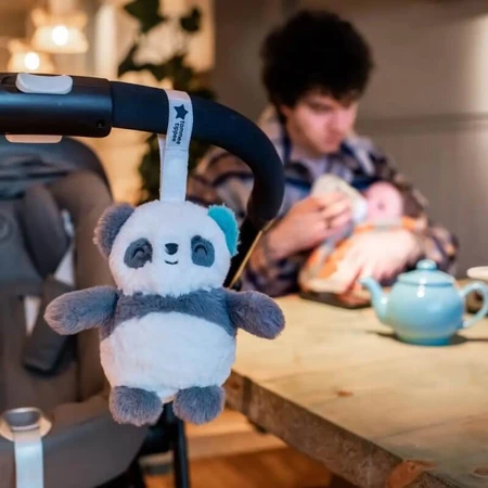 Tommee Tippee Minigrofriend Pip de Panda - Slaapspeeltje