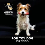 Tasty bone Tasty bone – jucărie în formă de os pentru cățeluși, cu aromă de vită