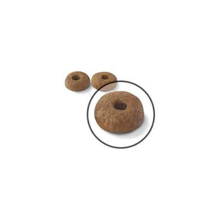 Royal Canin Care Digestive - Aliment complet pour chats adultes à la digestion sensible, 400 g