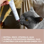 Gimborn Gimcat Derma Paste Formuła odżywcza – pasta uzupełniająca do pielęgnacji skóry i sierści kotów, 50 g: ceny i cechy
