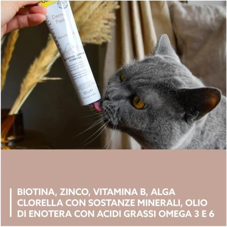 Gimborn Gimcat Derma Paste Formuła odżywcza – pasta uzupełniająca do pielęgnacji skóry i sierści kotów, 50 g: ceny i cechy
