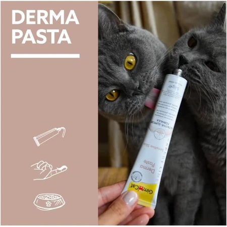 Gimborn Gimcat Derma Paste Formuła odżywcza – pasta uzupełniająca do pielęgnacji skóry i sierści kotów, 50 g: ceny i cechy