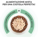 Schesir Complements : filets de thon et de rouget enrobés de gelée - Aliment complet pour chat, 70 g