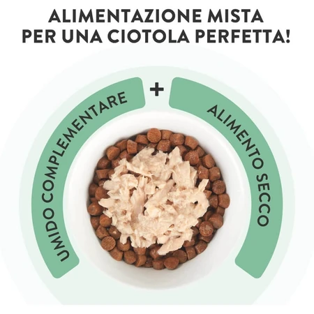 Schesir Complements : filets de thon et de rouget enrobés de gelée - Aliment complet pour chat, 70 g