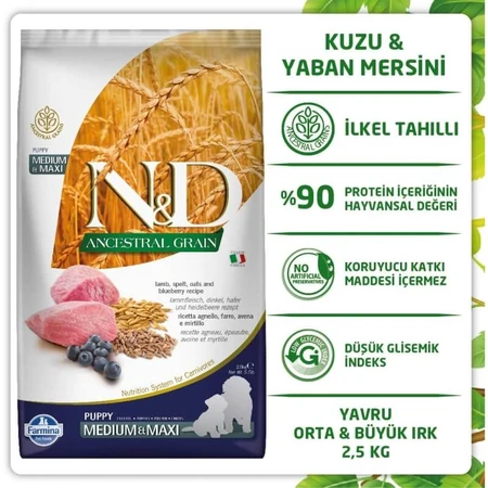 Farmina N&amp;d Ancestral Grain Puppy Medium &amp; Maxi with Lamb and Blueberry - Complete Dog Food, 2.5 kg