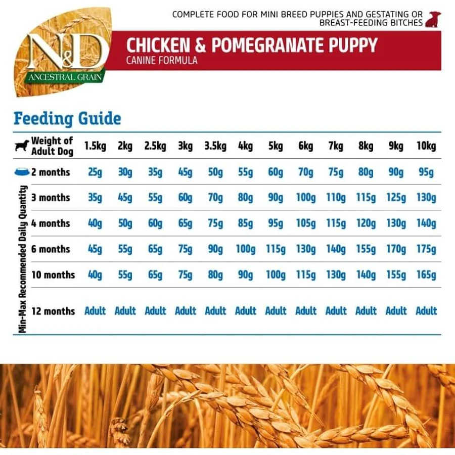 Farmina N&amp;d Ancestral Grain Puppy Mini cu pui – hrană completă pentru câini, 800 g