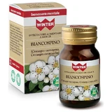 Winter Hawthorn 30 vegetarische capsules - Antioxidantensupplement