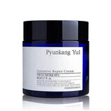 Crema intens reparatoare, 50 ml, Pyunkang Yul