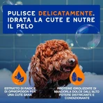 Ceva Animal Health Douxo spa - 2-in-1 shampoo and conditioner: moisturizing, detangling cleanser for pets, 250 ml