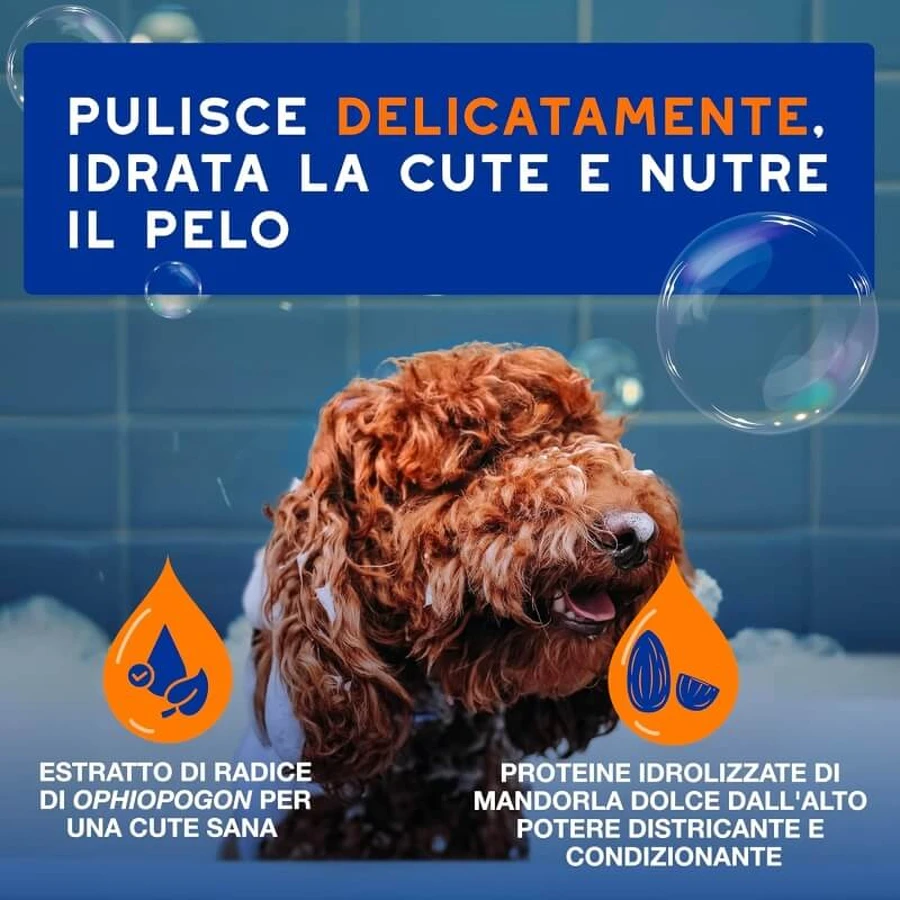Ceva Animal Health Douxo spa - 2-in-1 shampoo and conditioner: moisturizing, detangling cleanser for pets, 250 ml