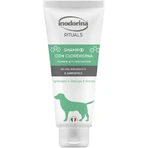 Inodorina Schutz- und Desinfektionsshampoo mit Chlorhexidin, 250 ml