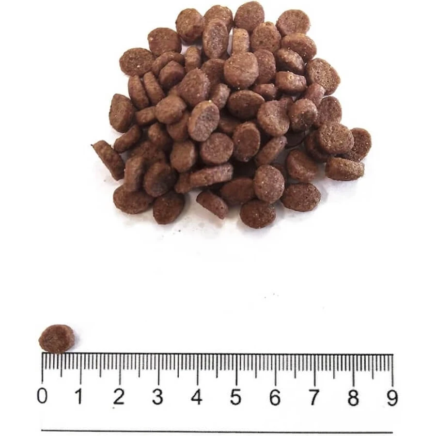 Prolife Dog Mini Sensitive Lamb & Rice - Compleet voer voor kleine volwassen honden, 2 kg