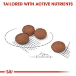 Royal Canin Digestive Care Mini - Volledig voer voor kleine volwassen honden met een gevoelige spijsvertering, 3 kg