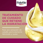 Palette Intensive creme color – vopsea permanentă de păr nr. 5.6, castaniu caramel