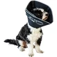 Candioli Comfy Cone – Innovativer, weicher, reflektierender Elizabethan-Kragen für kleine Hunde und Katzen, 14 cm