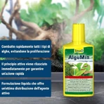 Tetra Algumin - tratament complet împotriva algelor în acvariile cu apă dulce, 250 ml