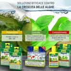 Tetra Algumin - tratament complet împotriva algelor în acvariile cu apă dulce, 250 ml