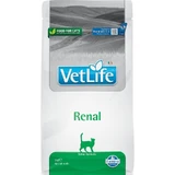 Farmina Vet Life Renal - Volledig voer voor katten met nierfalen, 2 kg