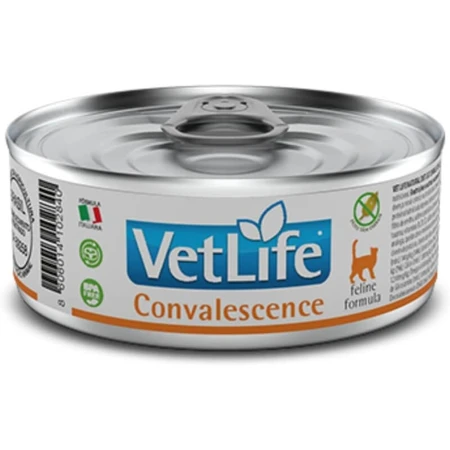Farmina Vet Life Cat Convalescence - Alimento completo para gatos en fase de recuperación nutricional y convalecencia, 85 g