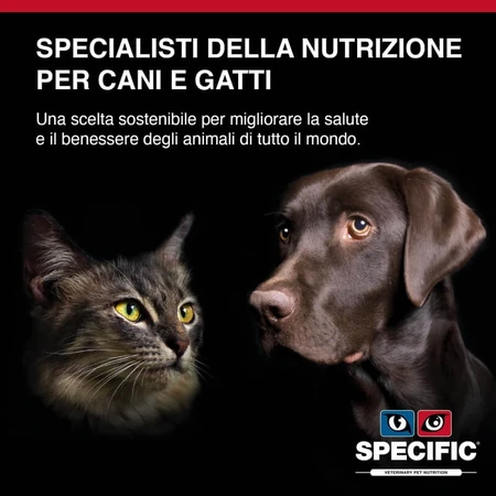 Dechra Specific Allergen Management Plus – Futter für Katzen mit Allergien und Verdauungsproblemen, 400 g