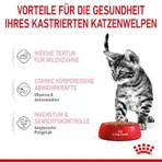 Royal Canin Kitten Sterilized - Alimento completo para gatos esterilizados o castrados de entre 6 y 12 meses, 85 g