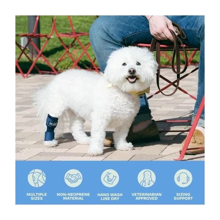 Balto Hock – orteza na staw skokowy ze sztywnymi, regulowanymi szynami, rozmiar XXS (2–5 kg): ceny i cechy
