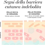 Sérum restaurador diario de juventud Advanced Ceramide Capsules de Elizabeth Arden - Sérum antienvejecimiento, 30 cápsulas