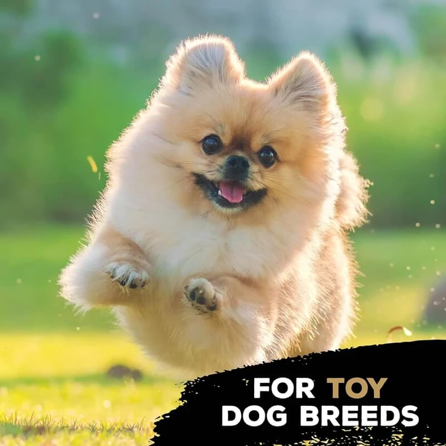 Jouet à mâcher « Tasty Bone Nylon Trio » - Jouet à mâcher pour chiens au goût de poulet