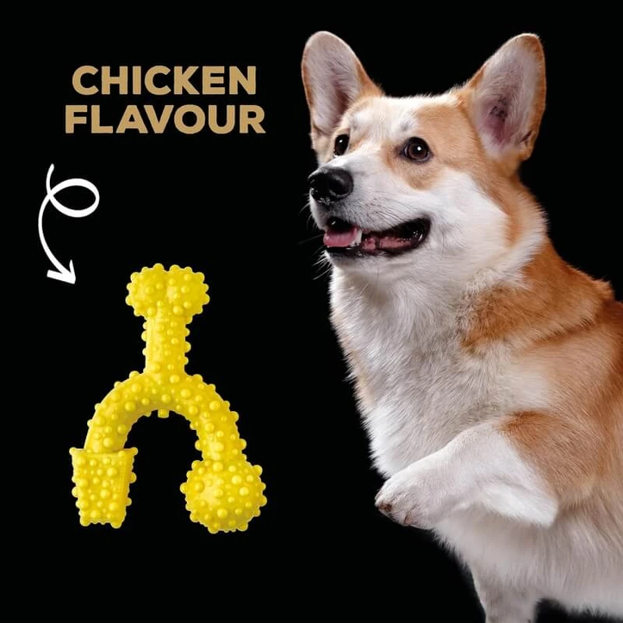 Jouet à mâcher « Tasty Bone Nylon Trio » - Jouet à mâcher pour chiens au goût de poulet