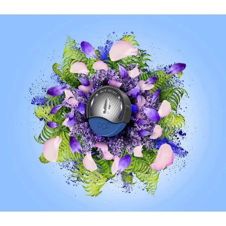 Arbre magique Pop - Car Air Freshener - Assorted Scents