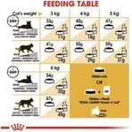 Royal Canin Persian – Alleinfuttermittel für Perserkatzen, 400 g