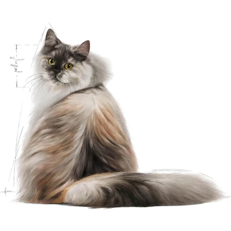 Royal Canin Hair &amp; Skin – hrană completă pentru pisici adulte, 2 kg