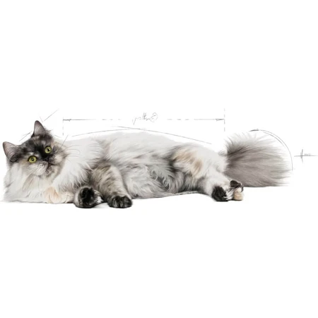Royal Canin Hair &amp; Skin – hrană completă pentru pisici adulte, 2 kg
