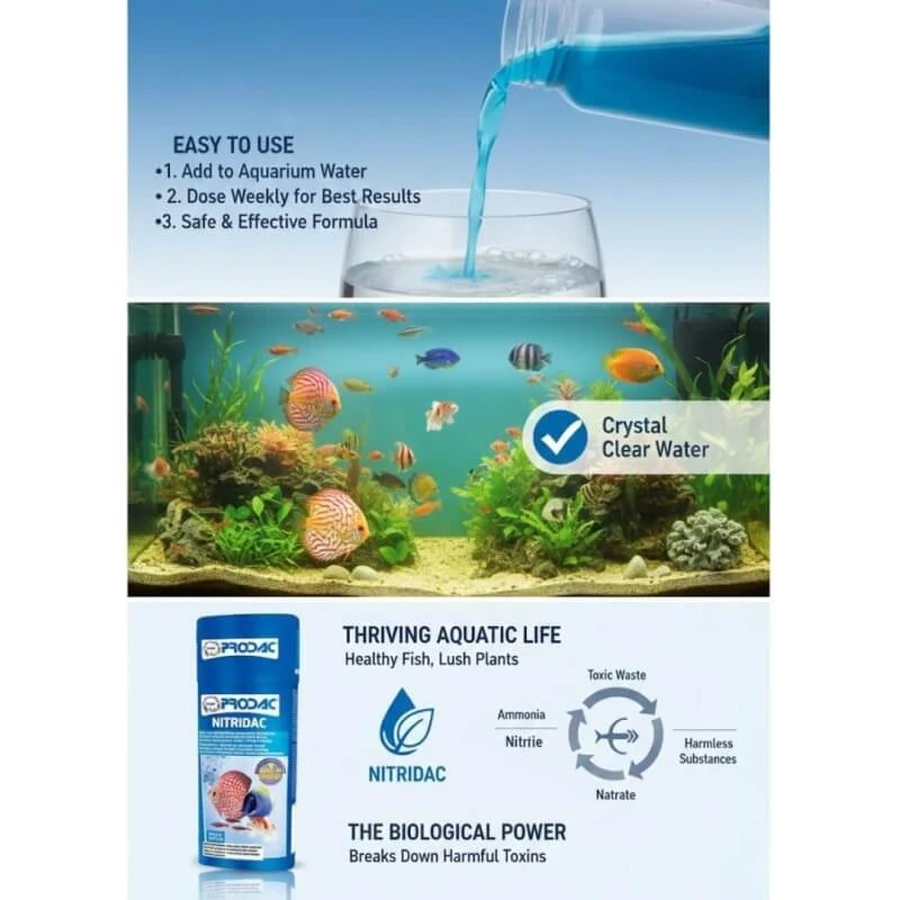 Prodac Nitridac - Culture bactérienne liquide pour aquariums, 100 ml