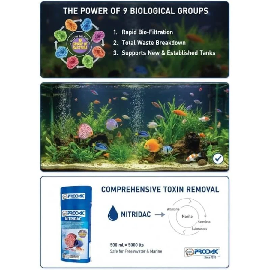 Prodac Nitridac - Culture bactérienne liquide pour aquariums, 100 ml
