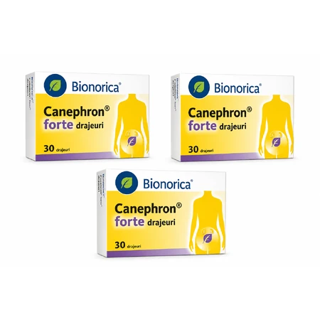Canephron Forte, 3x30 dragees, Bionorica