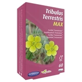 Orthonat Tribulus Terrestris Max Fertility für Männer, 60 Kapseln