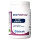 Nutergia Ergymental+ 60 Gélules