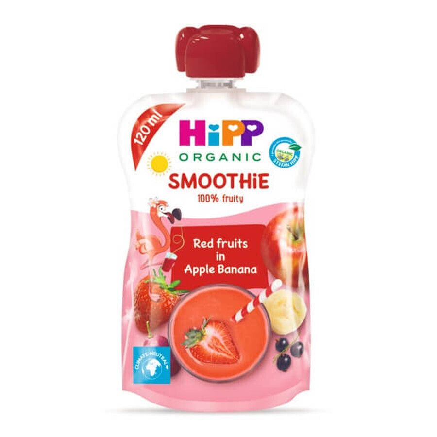 Smootie mit roten Früchten, Äpfeln und Bananen, 120 ml, Hipp