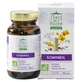 Pagode Biologische Slaapthee, 60 capsules