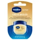 Vaseline Crème Brûlée Lip Balm 7 g