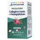 Juvamine Meereskollagen + Harpagophytum, 60 Tabletten