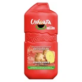 Ushuaïa Belebendes Ingwer-Shampoo & Duschgel 280 ml