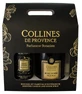 Collines de Provence Raumduft-Duo-Set (100 ml) + „Black Rose“-Kerzen-Duo (180 g)